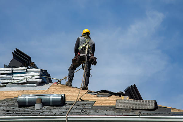 Professional Roofing technician working in Edwards, MO